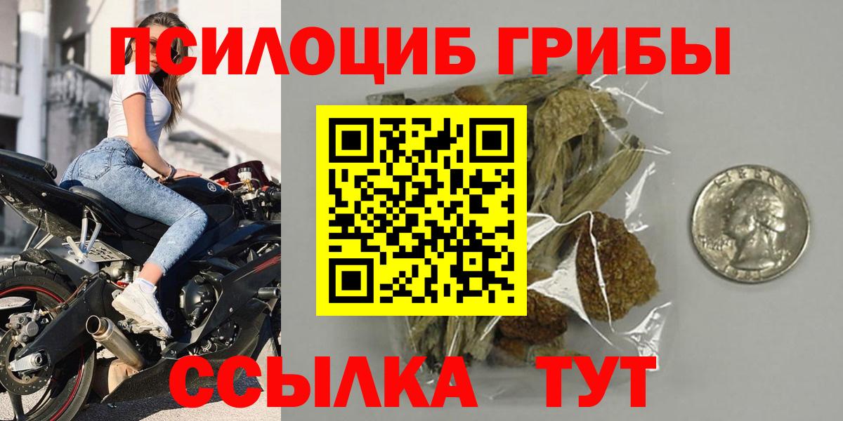 Псилоцибиновые грибы GOLDEN TEACHER  Псилоцибиновые грибы Psilocybe  Ангарск  Вход с VPN 
